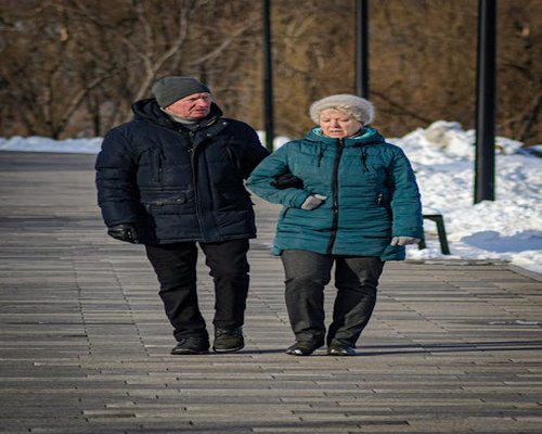 Active elderly couple walking in a park comfortably