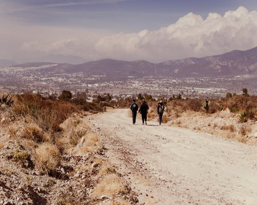 Peaceful nature walk path